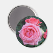 Rosa Knospen Magnet (Vorderseite/Rückseite)