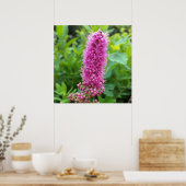 Rosa Knospen Poster (Küche)