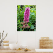 Rosa Knospen Poster (Küche)