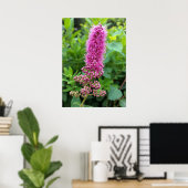 Rosa Knospen Poster (Heimbüro)