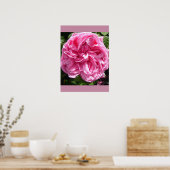 Rosa Kohl Blumengarten Poster (Küche)
