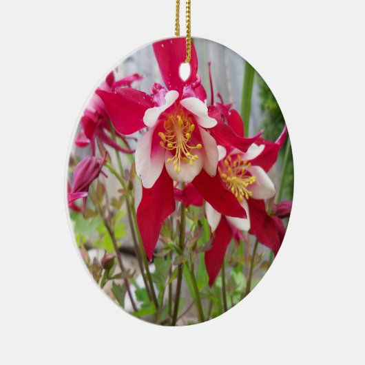 Rosa Kolonnen Ornament (Rechts)