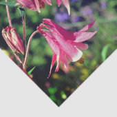 Rosa Kolumne Blume Nah auflösen Seidenpapier (Ausschnitt)