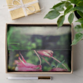 Rosa Kolumne Blume Nah auflösen Seidenpapier (Geschenk)