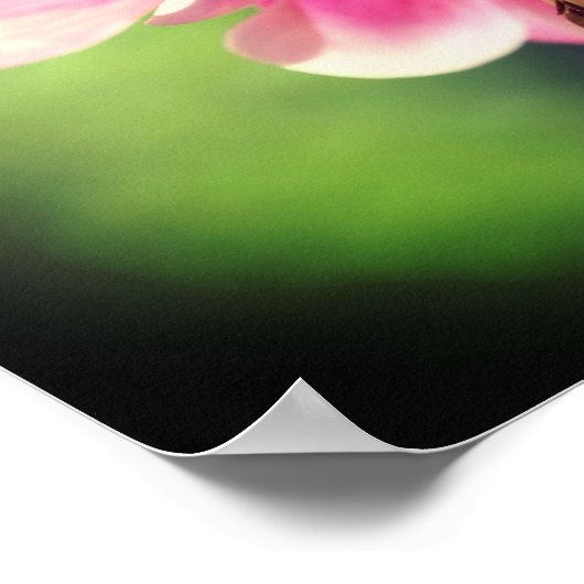 Rosa Kolumne Blume Nah Poster (Ecke)