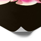 Rosa Kolumne Blume Nah Poster (Ecke)