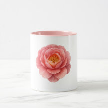 Rosa Kombitasse - Pfingstrose-Blume