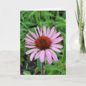 Rosa Kone-Blume Karte (Vorderseite)