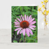 Rosa Kone-Blume Karte (Gelbe Blume)