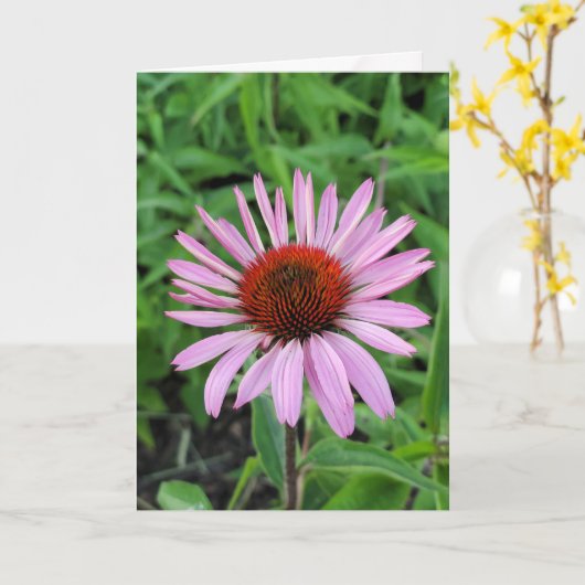 Rosa Kone-Blume Karte (Gelbe Blume)