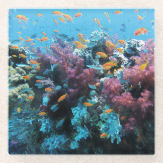 Rosa Koralle Glasuntersetzer