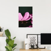 Rosa Kosmos auf der Sonne 1 Blumenfotografie Poster (Heimbüro)