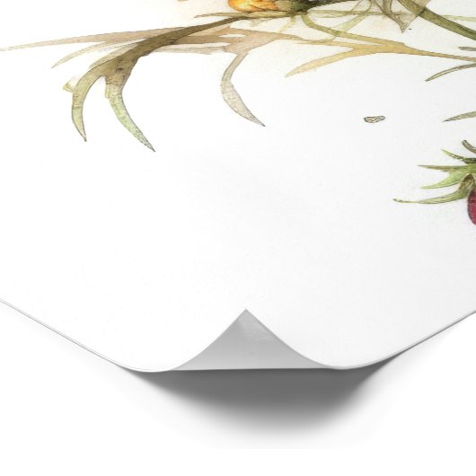 Rosa Kosmos Blume Art Print Poster (Ecke)