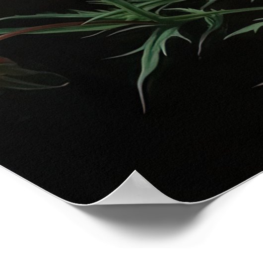 Rosa Kosmos Blume Art Print Poster (Ecke)