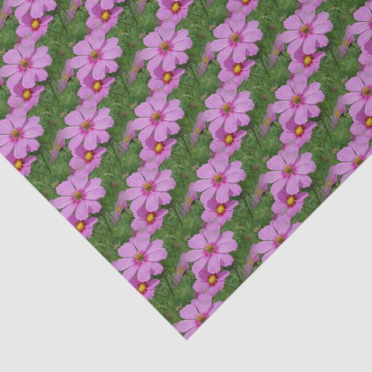 Rosa Kosmos-Blume Naturmuster Decoupage Seidenpapier (Ausschnitt)