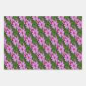 Rosa Kosmos Blume Naturmuster Geschenkpapier Set (Vorderseite)