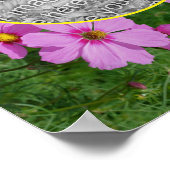 Rosa Kosmos Blume Rahmen hinzufügen Ihr eigenes Fo Poster (Ecke)