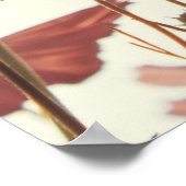 Rosa Kosmos: Blume weißer Hintergrund. Poster (Ecke)