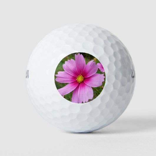 Rosa Kosmos Blume Wildblume Golfball (Vorderseite)