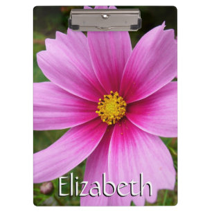 Rosa Kosmos Blume Wildblume Klemmbrett
