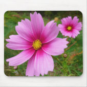 Rosa Kosmos Blume Wildblume Mousepad (Vorne)
