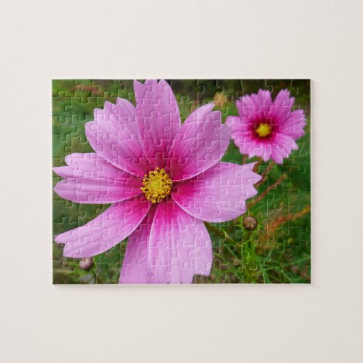 Rosa Kosmos Blume Wildblume Puzzle (Horizontal)
