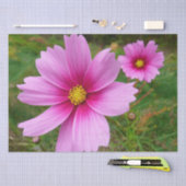 Rosa Kosmos Blume Wildblume Seidenpapier (Handwerk)