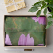 Rosa Kosmos Blume Wildblume Seidenpapier (Geschenk)