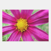 Rosa Kosmos-Blumen Wildblume Geschenkpapier Set (Vorderseite 2)