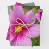 Rosa Kosmos-Blumen Wildblume Geschenkpapier Set (Beispiel)