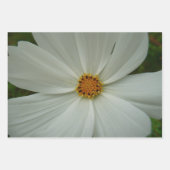 Rosa Kosmos-Blumen Wildblume Geschenkpapier Set (Vorderseite 3)