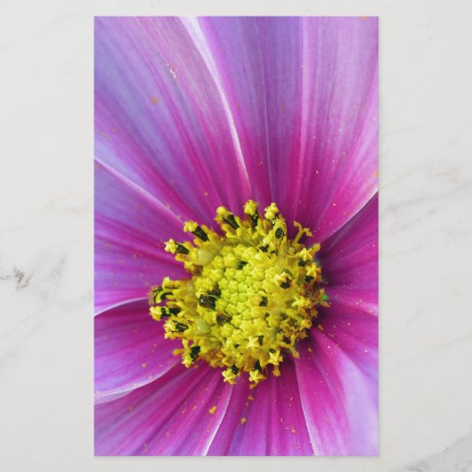 Rosa Kosmos Briefpapier (Vorderseite)