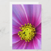 Rosa Kosmos Briefpapier (Vorne/Hinten)