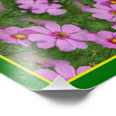 Rosa Kosmos Daisy Blume Mirror Abstrakt 8x10 Fotodruck (Ecke)