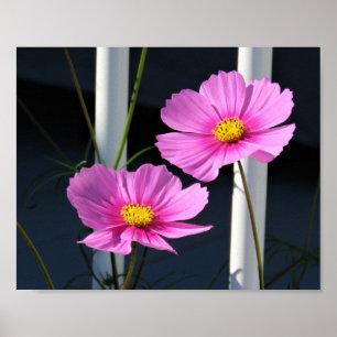 Rosa Kosmos durch das Treppengeländer Poster