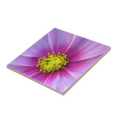 Rosa Kosmos Fliese (Seite)