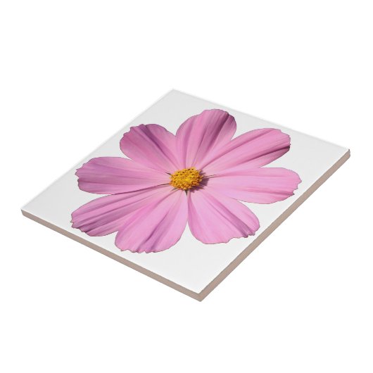 Rosa Kosmos Fliese (Seite)