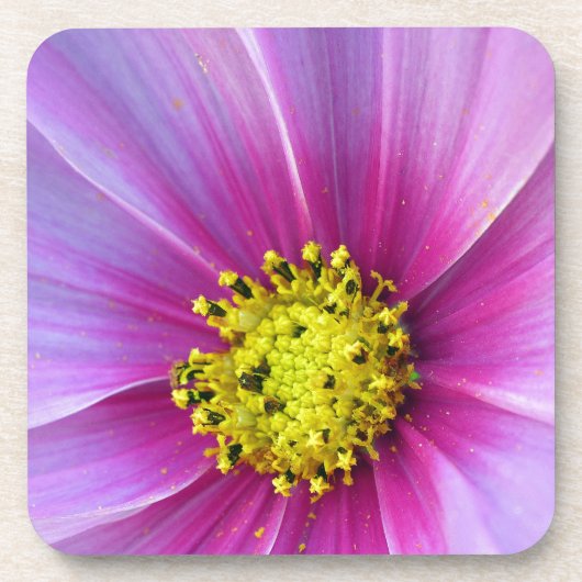 Rosa Kosmos Getränkeuntersetzer (Vorderseite)