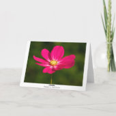 Rosa Kosmos (grenzt) Karte (Rückseite)