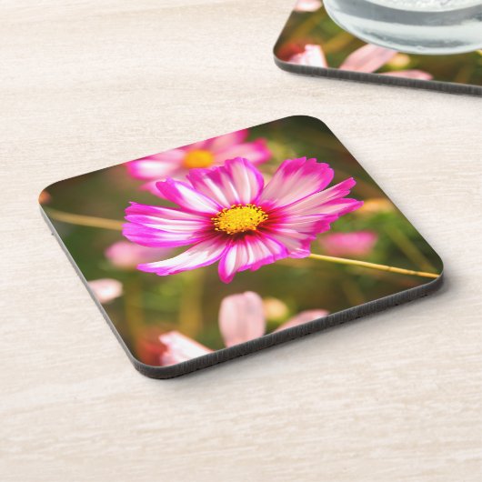 Rosa Kosmos, Hütte Garten Rosalinde Getränkeuntersetzer (Linke Seite)