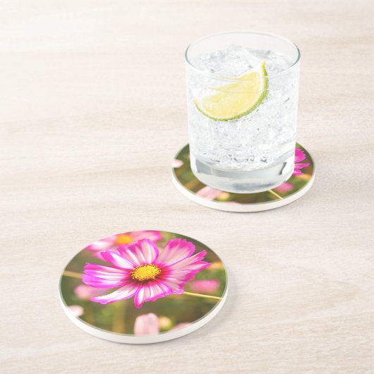 Rosa Kosmos, Hütte Garten Rosalinde Getränkeuntersetzer (Seite)