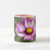 Rosa Kosmos, Hütte Garten Rosalinde Tasse (Zentrum)