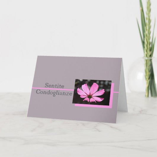 Rosa Kosmos italienische Beileid-Karte Karte (Vorderseite)