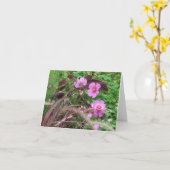 Rosa Kosmos mit Coleus Karte (Gelbe Blume)