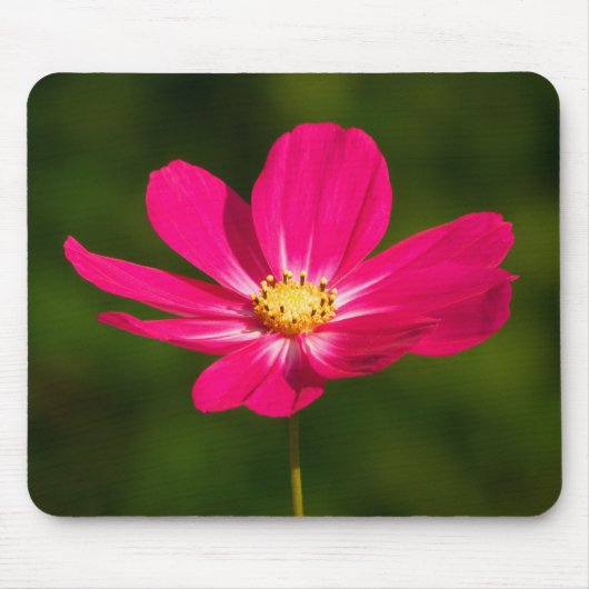 Rosa Kosmos Mousepad (Vorne)
