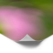 Rosa Kosmos Poster (Ecke)