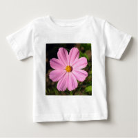 Rosa Kosmos (quadratisches Foto)