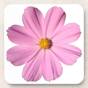 Rosa Kosmos Untersetzer