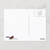 Rosa Kosmos-Wildblume Postkarte (Rückseite)