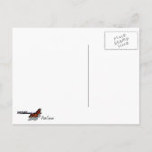 Rosa Kosmos-Wildblume Postkarte (Rückseite)